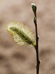 Similar image 1279948