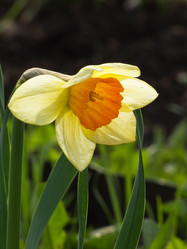 Similar image 1279949