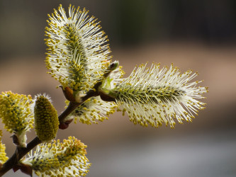 Similar image 1279950