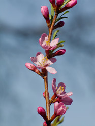 Similar image 1279951