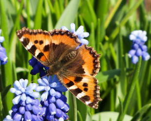 Similar image 1279952