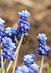 Similar image 1279953