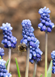 Similar image 1279954