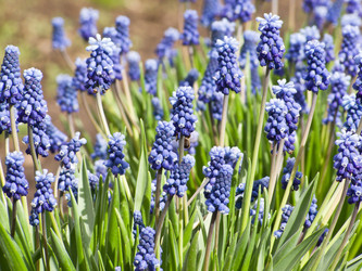 Similar image 1279955