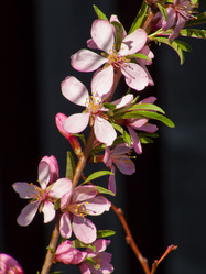 Similar image 1279960