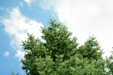 Similar image 1279964