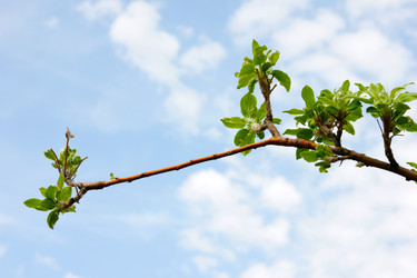 Similar image 1279968