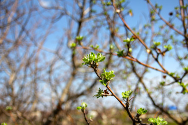 Similar image 1279969