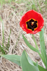 Similar image 1279972