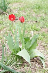 Similar image 1279975