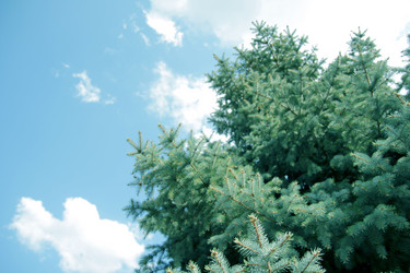 Similar image 1279977