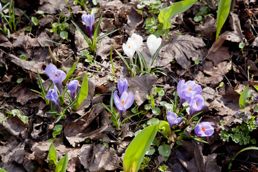 Similar image 1280000