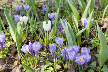 Similar image 1280002