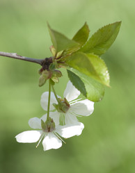 Similar image 1280023