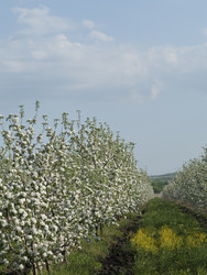 Similar image 1280025