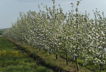 Similar image 1280027