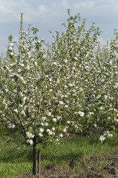 Similar image 1280028