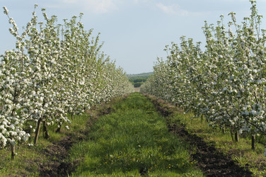 Similar image 1280029