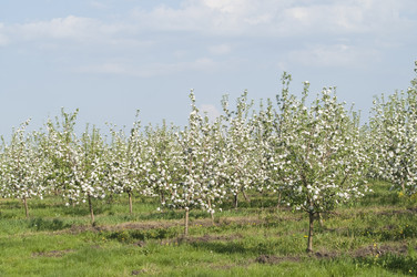 Similar image 1280030