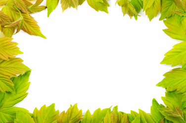 Similar image 1280047