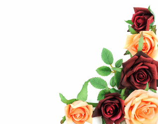 Similar image 1280048