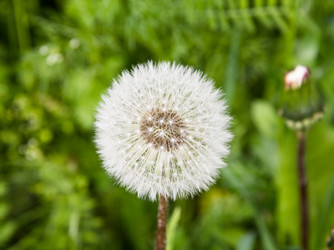 Similar image 1280063