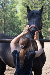 Similar image 1280069