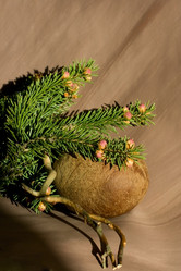 Similar image 1280075