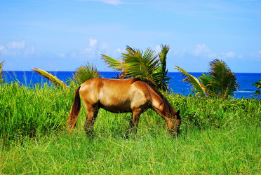 Similar image 1280118