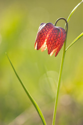 Similar image 1280121