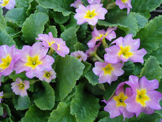 Similar image 1280128