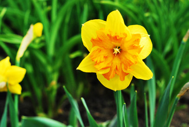 Similar image 1280159