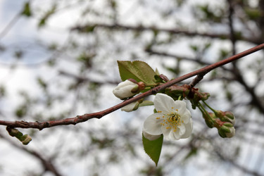 Similar image 1280163