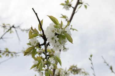 Similar image 1280164