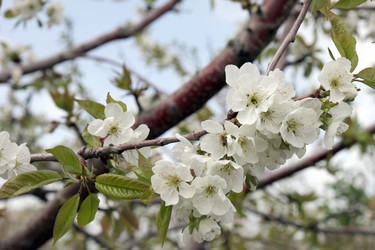 Similar image 1280166