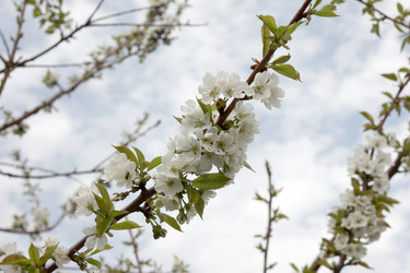 Similar image 1280167