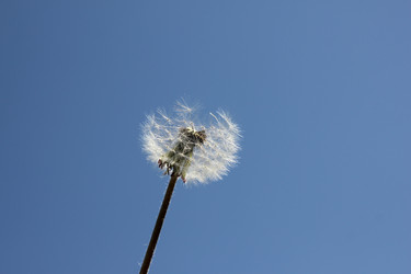 Similar image 1280169