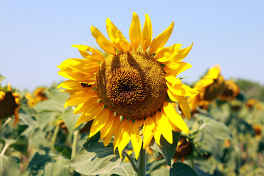 Similar image 1280189