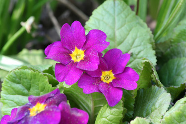 Similar image 1280190