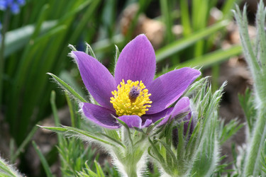 Similar image 1280191