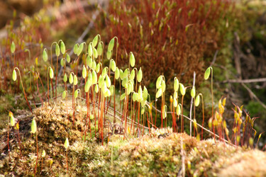 Similar image 1280192