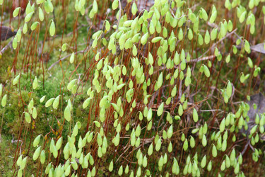 Similar image 1280193