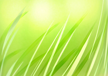 Similar image 1280203