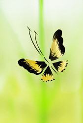 Similar image 1280207