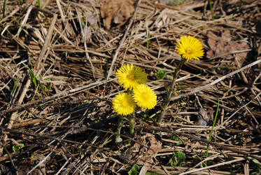 Similar image 1280208