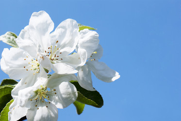 Similar image 1280212