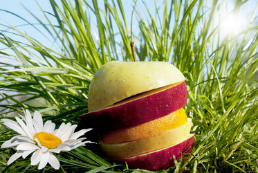 Similar image 1280213