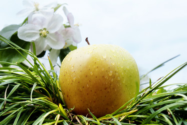 Similar image 1280223