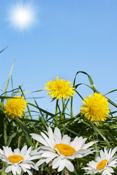 Similar image 1280228