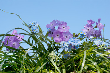 Similar image 1280241